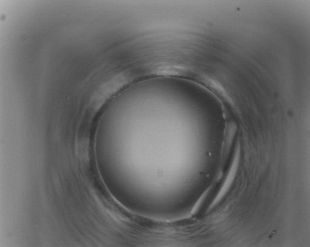 X0000062910299200601201943