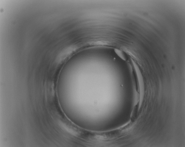 X0000062910302200601201943