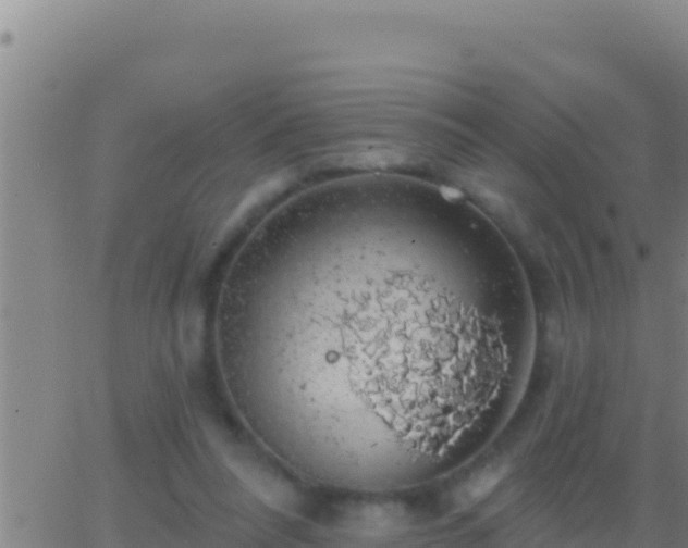 X0000062910304200601201943