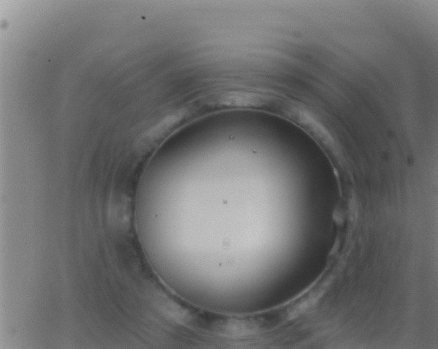 X0000062910305200601201943