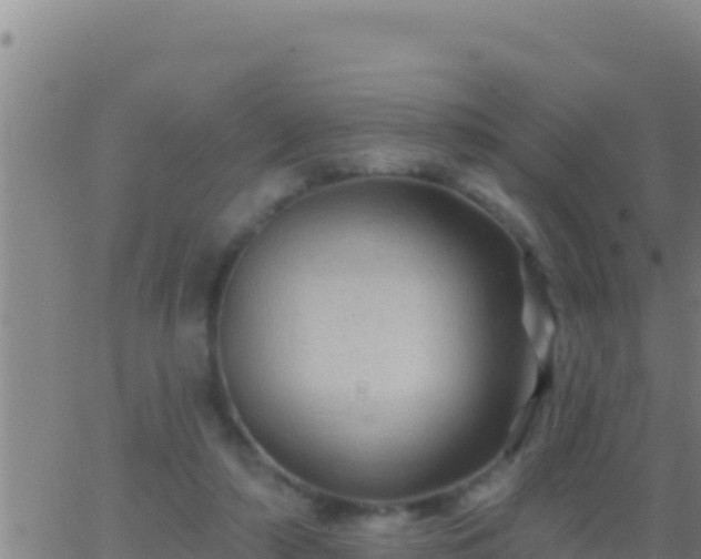 X0000062910306200601201943