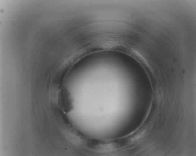 X0000062910307200601201943