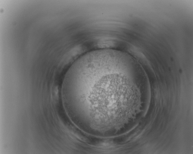 X0000062910308200601201943