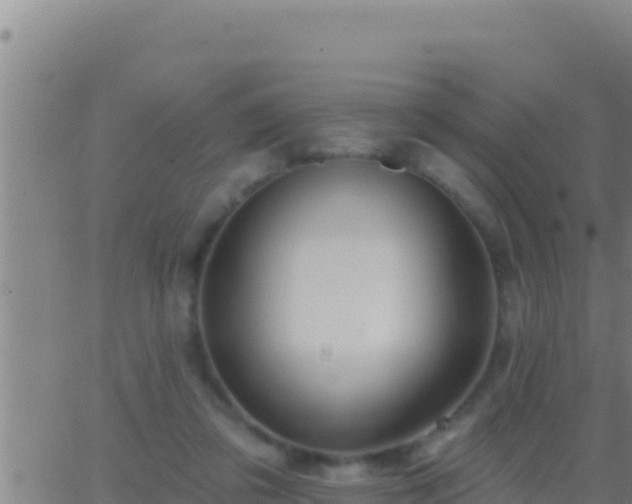 X0000062910309200601201943