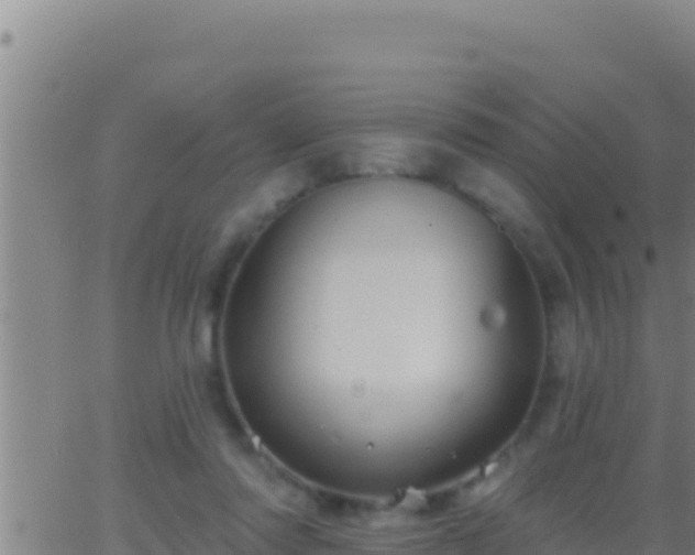 X0000062910310200601201943