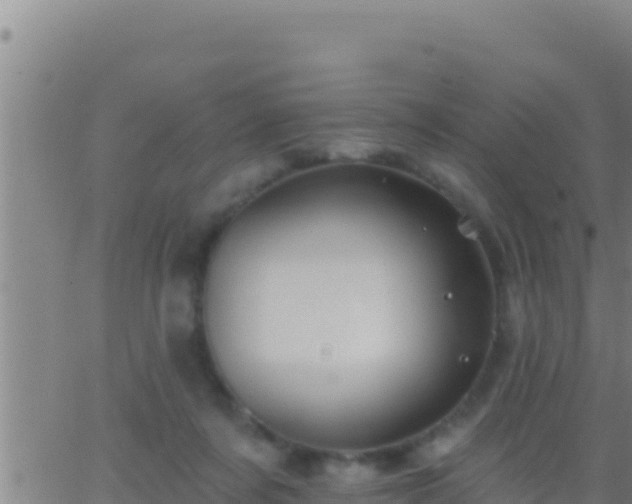 X0000062910311200601201943