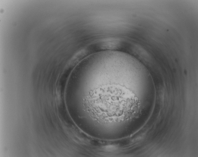 X0000062910312200601201943