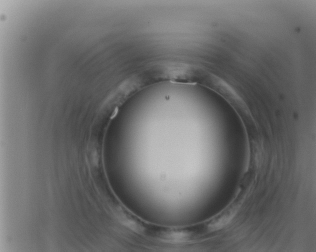 X0000062910313200601201943