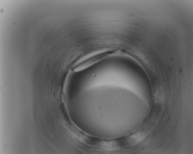 X0000062910314200601201943