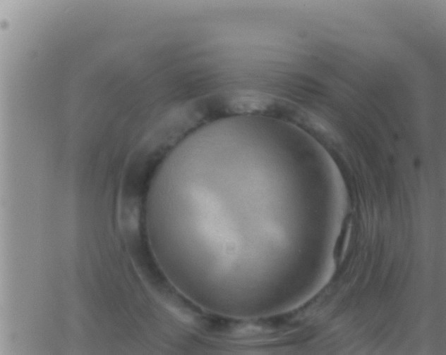 X0000062910315200601201943