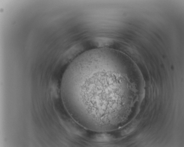 X0000062910316200601201943