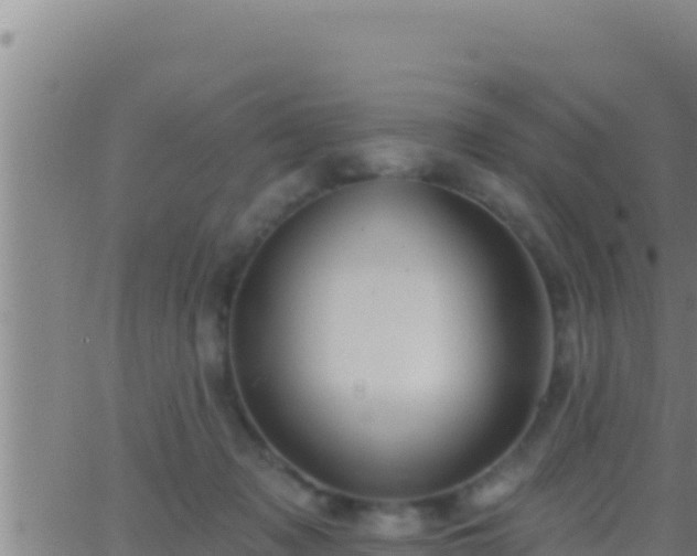 X0000062910317200601201943