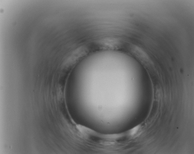 X0000062910318200601201943