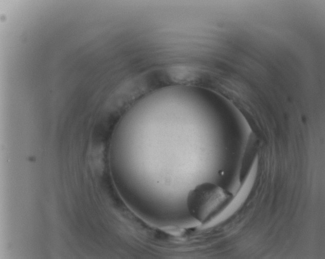 X0000062910319200601201943