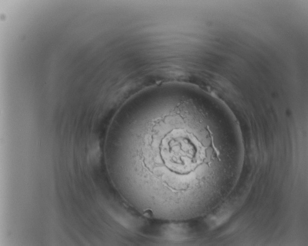 X0000062910320200601201943