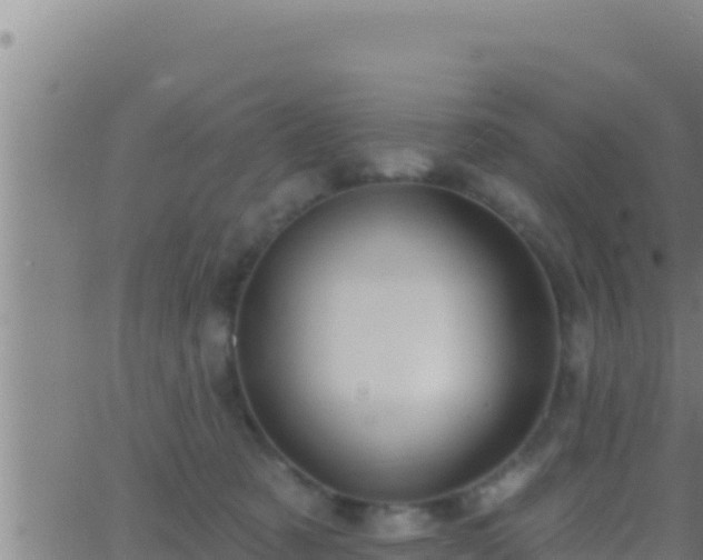 X0000062910321200601201943