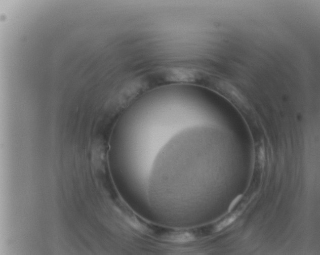 X0000062910322200601201943