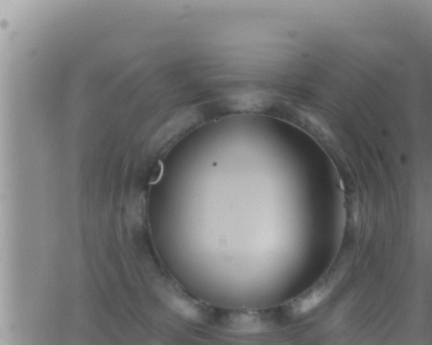 X0000062910325200601201943