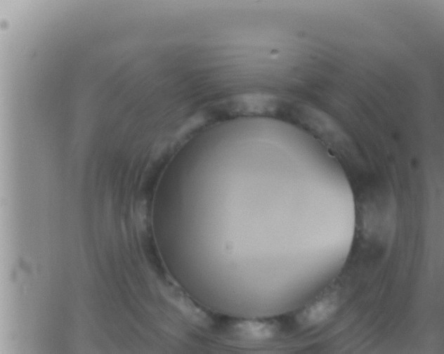 X0000062910326200601201943