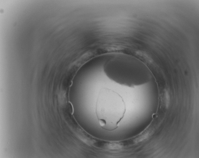 X0000062910327200601201943