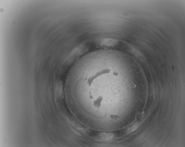 X0000062910328200601201943