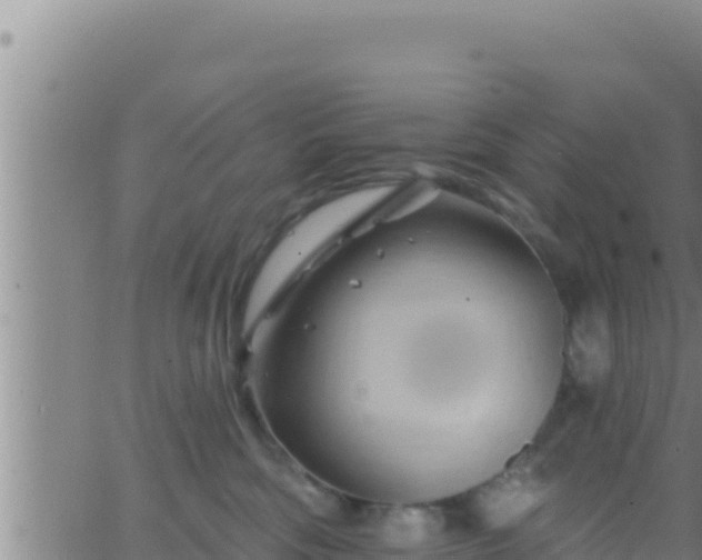 X0000062910330200601201942