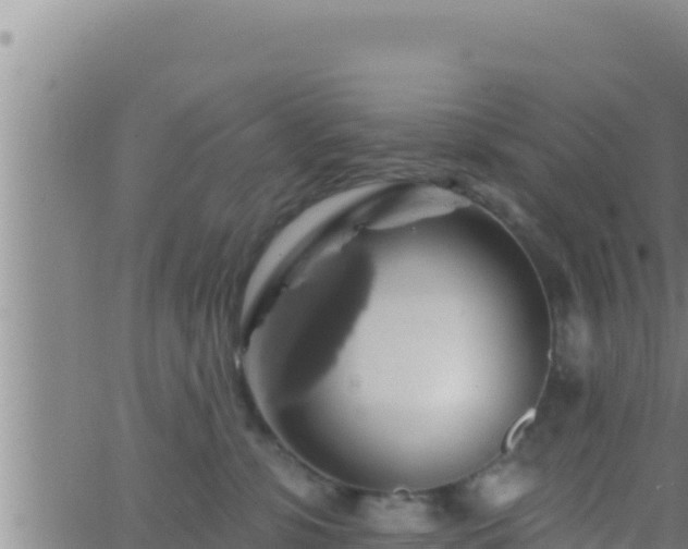 X0000062910331200601201942