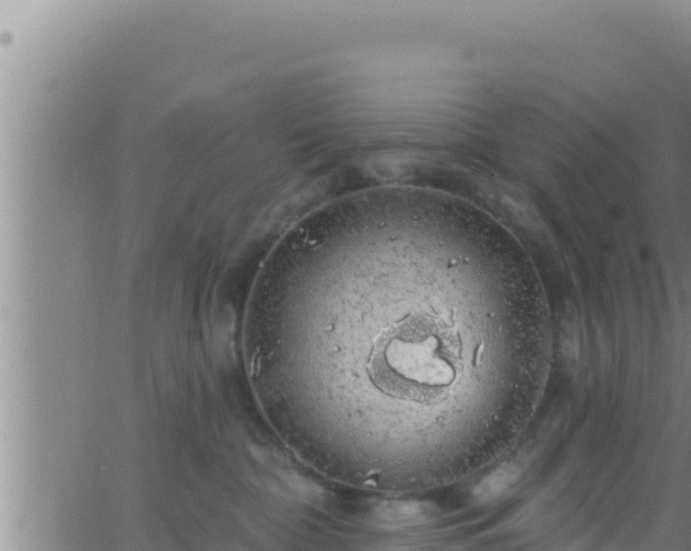 X0000062910332200601201942