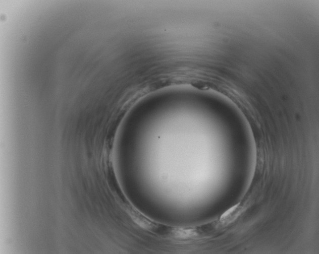 X0000062910333200601201942