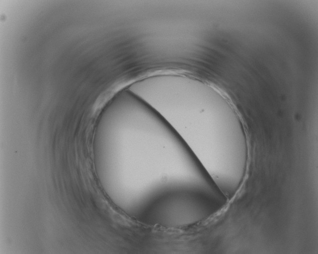 X0000062910337200601201942