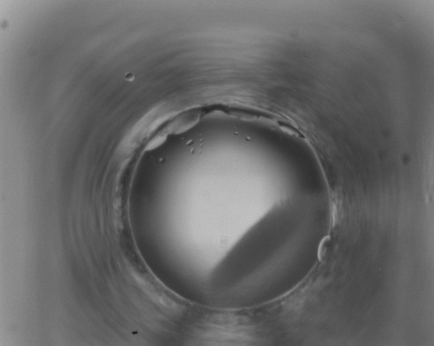 X0000062910339200601201942