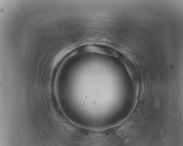 X0000062910340200601201942