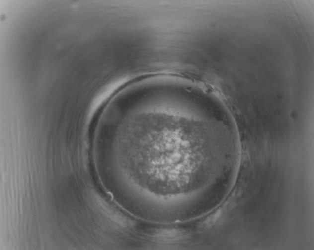 X0000062910342200601201942