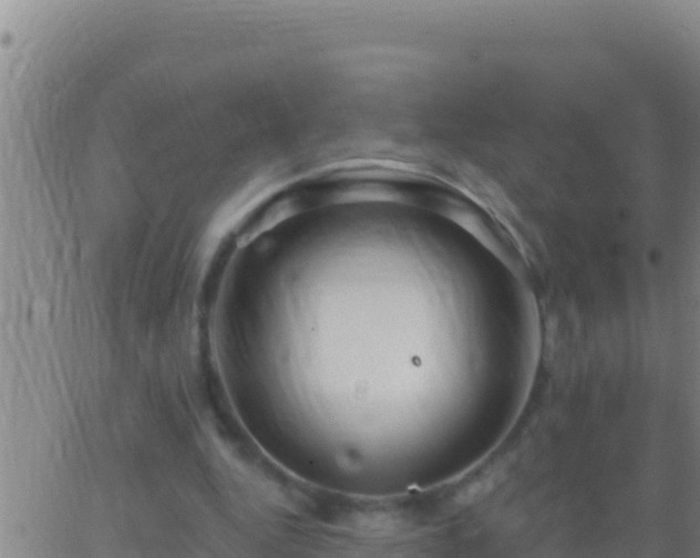 X0000062910344200601201942