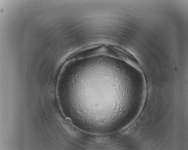 X0000062910345200601201942