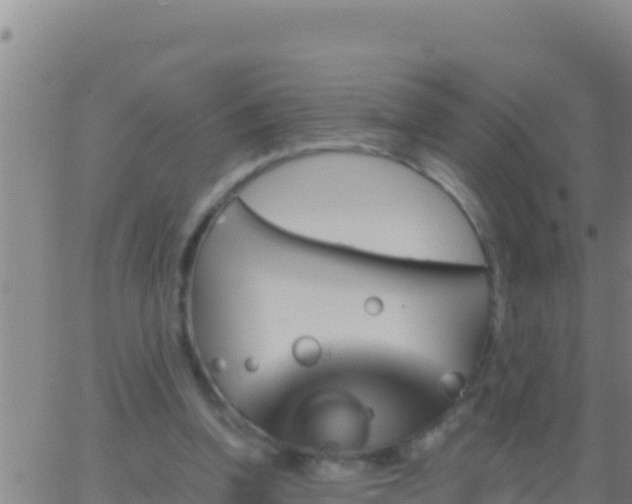 X0000062910346200601201942