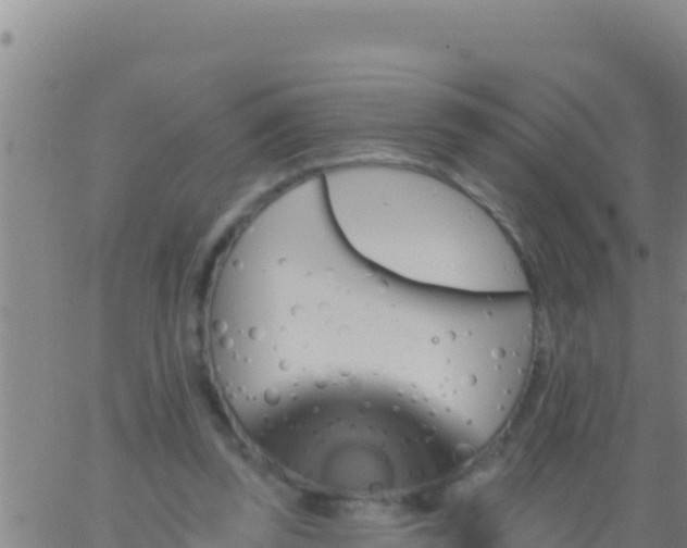 X0000062910347200601201942