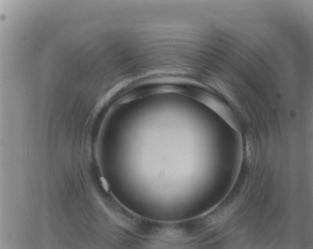 X0000062910348200601201942