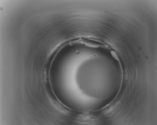 X0000062910351200601201942