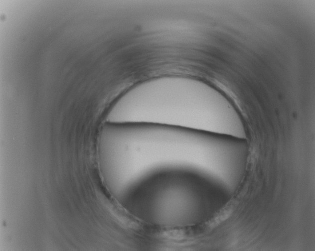 X0000062910353200601201942