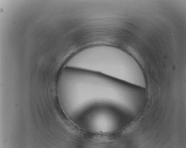 X0000062910354200601201942