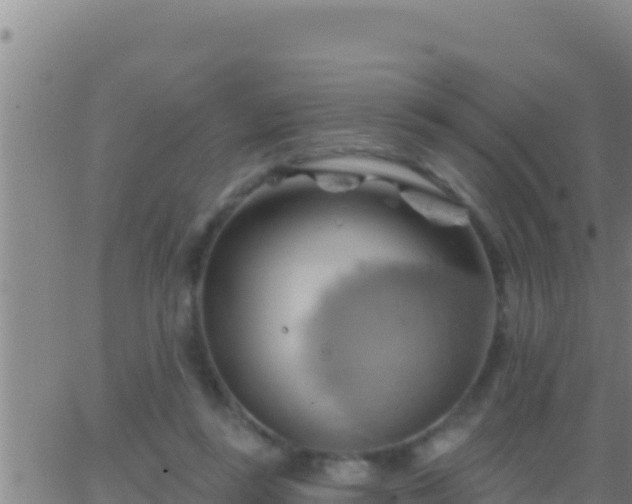 X0000062910355200601201942