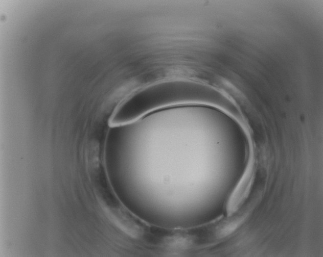 X0000062910356200601201942