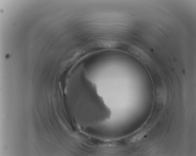 X0000062910358200601201942