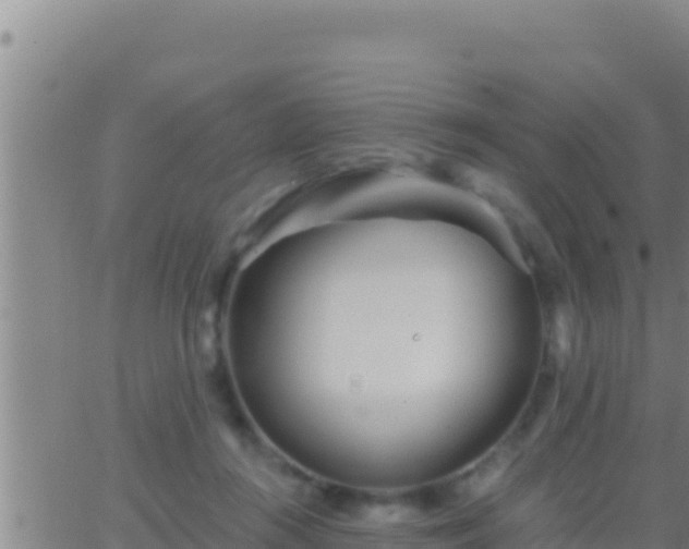 X0000062910360200601201942