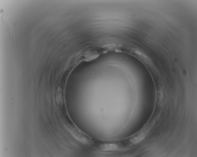 X0000062910361200601201942