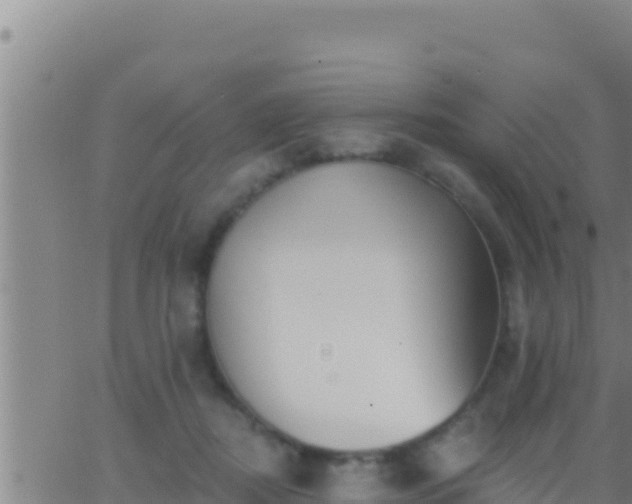 X0000062910362200601201942