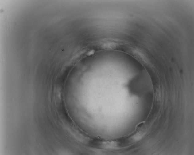 X0000062910363200601201942