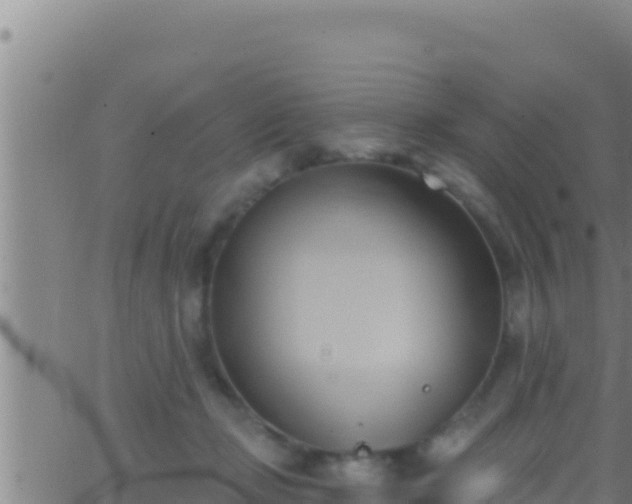 X0000062910365200601201942