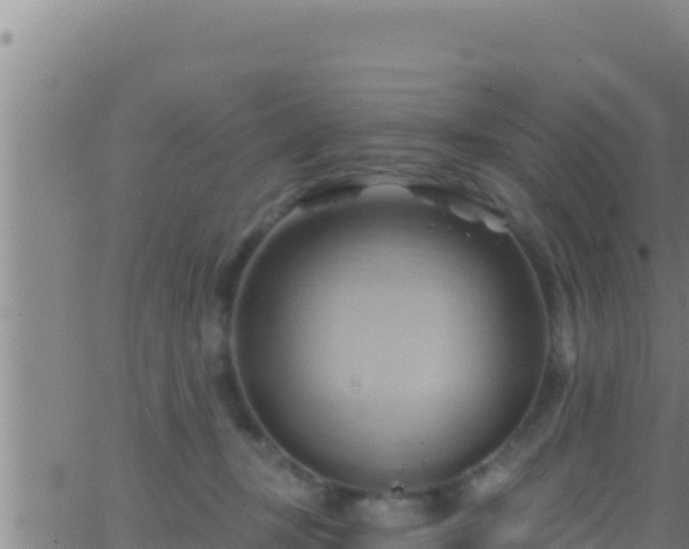 X0000062910367200601201942